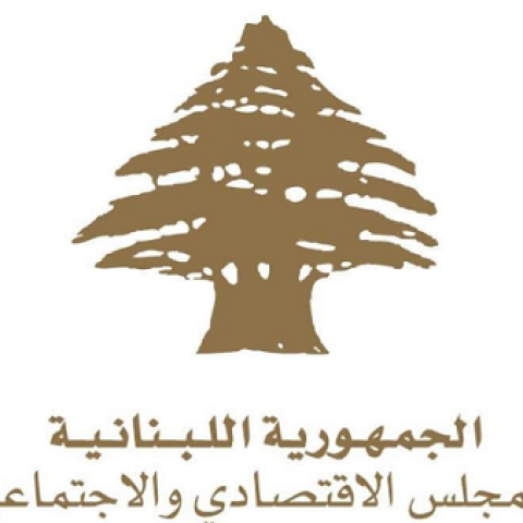 Abiad: The Main Concern is Financing the Work of the Emergency Plan