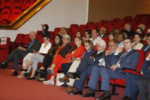 The National Strategy will Help Restructure the Healthcare System, Mikati