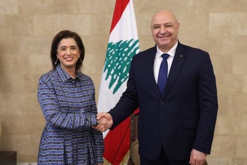 President Aoun Meet a Delegation from the WHO and Praise the Cooperation between Lebanon and the Organization