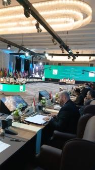 Nassereddine Delivers Lebanon's Speech at the Islamic Cooperation Conference in Jordan