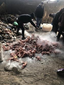 Closure of Two Chicken Warehouses in Saadnayel  for Violating Food Safety Regulations