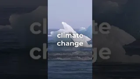 What’s the Impact of Climate Change on Health Systems?