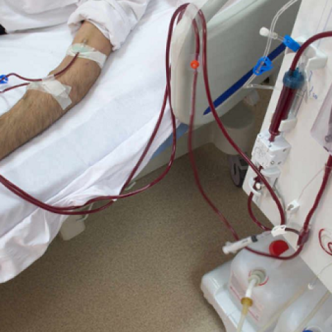 The MoPH Announces Adjustment to Kidney Dialysis Session Tariff
