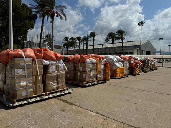 The Ministry of Health Receives a Shipment of Iraqi Aid