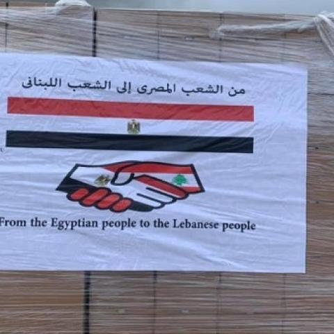 الابيض يتسلم غدا الهبة المصرية من الأدوية واللقاحات لمكافحة الكوليرا